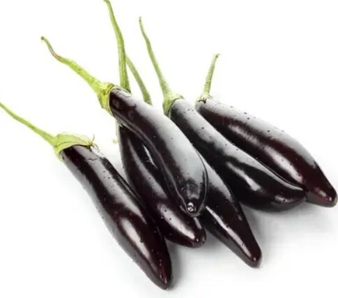 Brinjal Long Purple