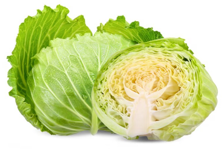 Cabbage