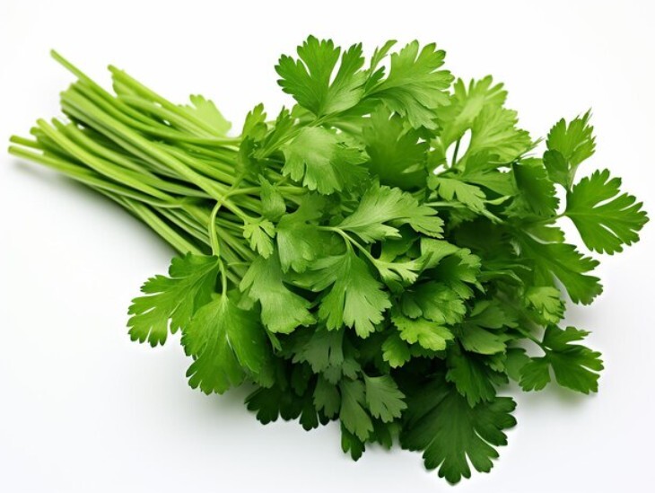 Coriander Leaves