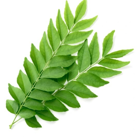 Curry Leaves