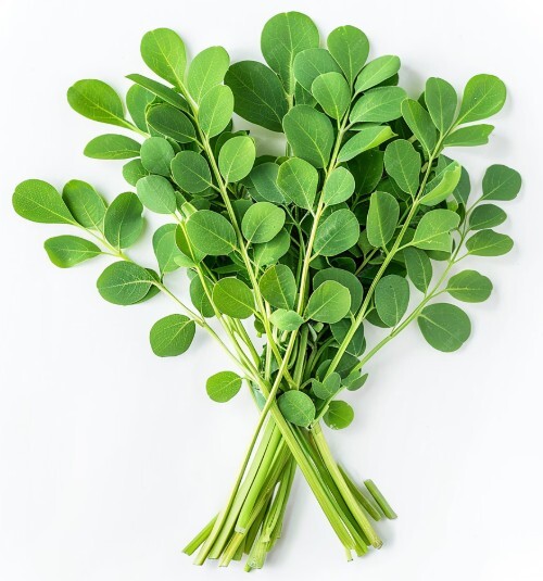 Drumstick Leaves