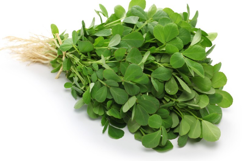 Fenugreek