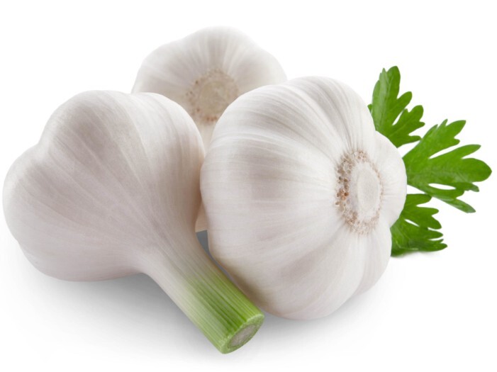 Garlic
