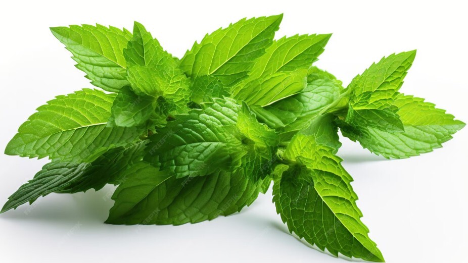 Mint Leaves