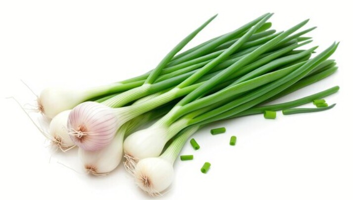 Spring Onion