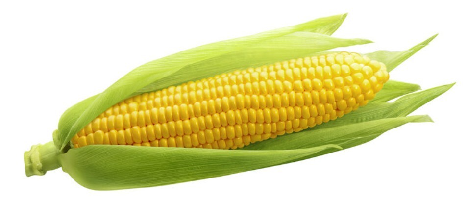 Sweet Corn